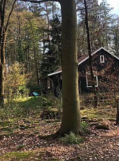 Vakantiewoning Vakantiehuis in Epse, Epse, Achterhoek, 