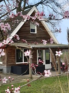 Vakantiewoning Vakantiehuis in Hengelo (Gld), Hengelo, Achterhoek, 