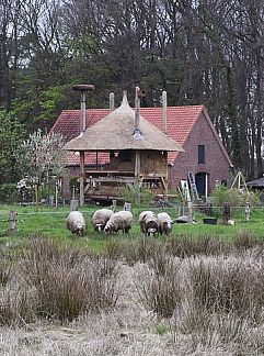 Vakantiewoning Vakantiehuisje in Winterswijk Woold, Winterswijk Woold, Achterhoek, 