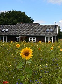 Vakantiewoning Vakantiehuis in Varssel, Hengelo gld, Varssel, Achterhoek, 