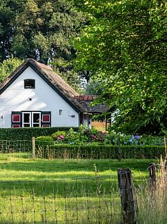 Vakantiewoning Huisje in Empe, Empe, Gelderse vallei, 