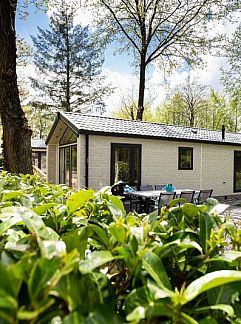 Holiday property Module Wood 4 personen Wellness (Hottub), Ede, Veluwe, 
