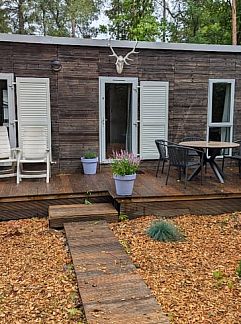 Holiday property Huisje in Emst, Emst, Veluwe, 