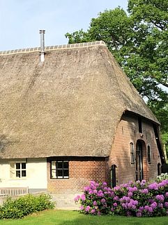 Vakantiewoning DG394, Epe, Veluwe, 