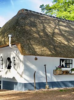 Holiday property Vakantiehuisje in Heerde, Heerde, Veluwe, 