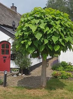 Logement de vacances Vakantiehuisje in Loenen, Loenen, Veluwe, 