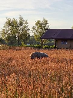 Holiday property Vakantiehuisje in Klarenbeek, Klarenbeek, Veluwe, 