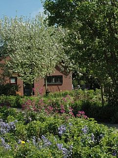 Vakantiewoning Huisje in Zevenhuizen, Zevenhuizen, Zuidwest Groningen, 