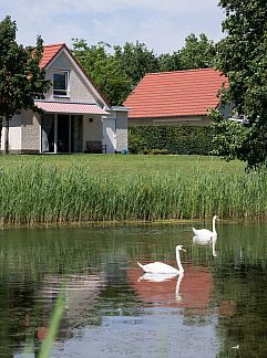 Vakantiewoning Vakantiehuis Villa56, Heel, Midden Limburg, 