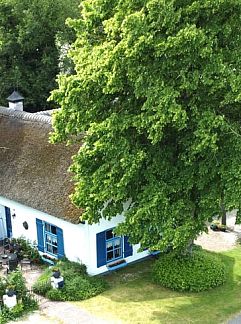 Vakantiewoning L224, Merselo, Noord Limburg, 