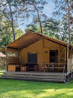 Tenthuis Safaritent 6B, Mierlo, De Peel, 