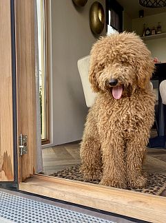 Vakantiewoning De Kipmulder, Bladel, Kempen, 