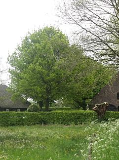 Holiday property Vakantiehuisje in Oeffelt, Oeffelt, Noordoost Brabant, 