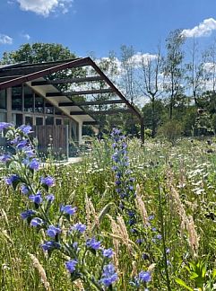 Vakantiewoning Vakantiehuis in Gilze, Gilze, West Brabant, 