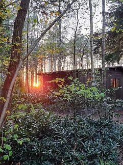 Vakantiewoning Huisje in Rijsbergen, Rijsbergen, West Brabant, 