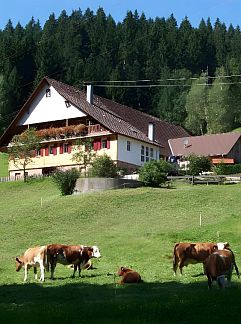 Appartement Schmalzerhisli, Oberwolfach, Forêt Noire, Allemagne