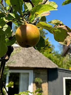 Ferienhaus Vakantiehuisje in Schagen, Schagen, Noord-Holland noord, 