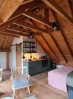 Holiday property OV436, Hengevelde, Twente, 