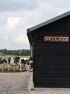 Holiday property Vakantiehuisje in Achterveld, Achterveld, Utrechtse Heuvelrug, 