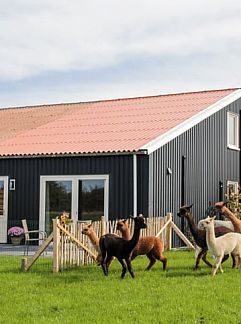 Vakantiewoning Vakantiehuisje in Ritthem, Ritthem, Walcheren, 