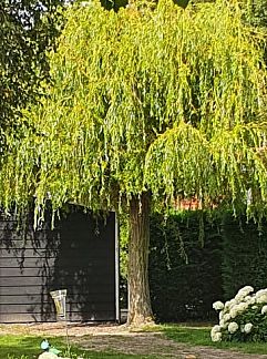 Vakantiewoning Vakantiehuis in Lewedorp, Lewedorp, Zuid-Beveland, 