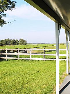 Holiday property Vakantiehuis in Stolwijk, Stolwijk, Alblasserwaard, 