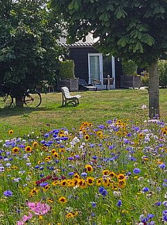 Holiday property Vakantiehuis in Sommeldsijk, Sommelsdijk, Goeree-Overflakkee, 