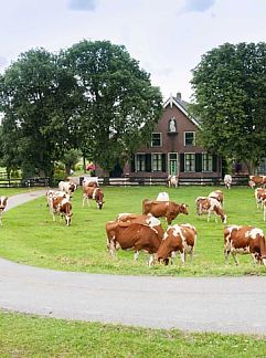 Vakantiewoning Vakantiehuis in Nieuwveen, Nieuwveen, Groene hart, 