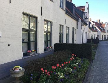 B&B Het Colettientje