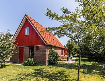 Type II - nr. 81 Witte Kwikstaart