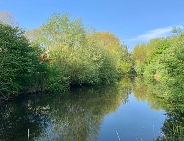 Huisje in Alveringem