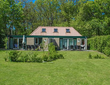 Bollenveld - de Iris