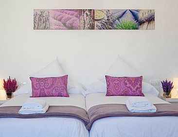 Charmsuites Paralel