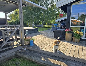 Vakantiehuis "Lidewij" - 800m from the sea