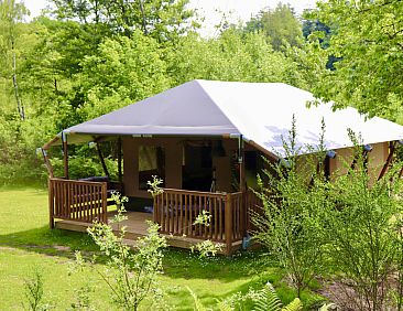 Glampingtent + sanitair