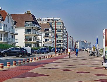 Poelpanne 21