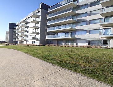 ZWYNELANDE 04 B37  Stpl