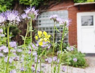 Vakantiehuis in Detern