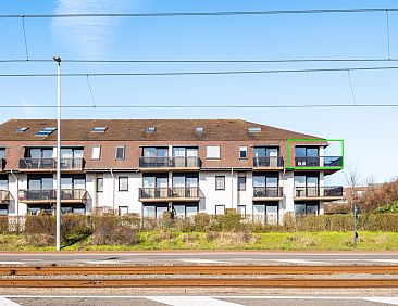 PLAZA Z/Z24