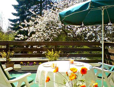 Appartement Zur Kajüte