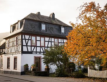 Appartement in Traben mit Kleinem Garten