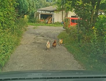 Vakantiehuisje in Witten