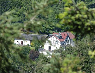 Appartement in Waldbreitbach mit Whirlpool
