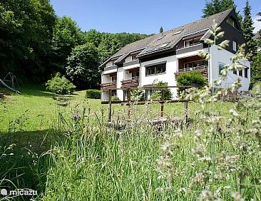 Hochsauerland Elpe Flussblick