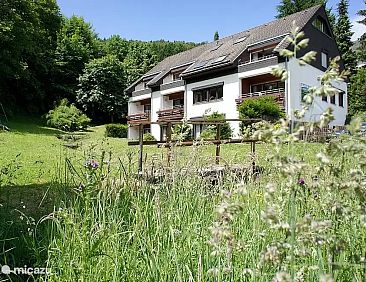 Groepshuis Haus Hohenstein Sauerland