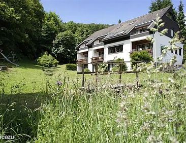 Hochsauerland Elpe Waldblick