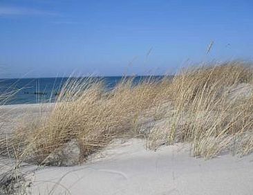 Appartement 1 Raum Graal-Müritz