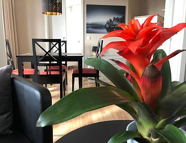 Appartement Dat Mitteltste 445