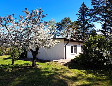 Vakantiehuis mit Terrasse mitten im Grünen