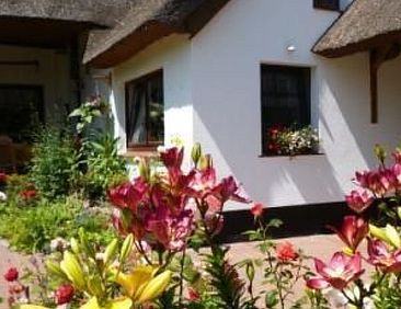 Appartement Morgensünn- Nette Wohnung in Althagen mit Terra